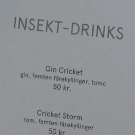 Cricket-Based Juice Drink