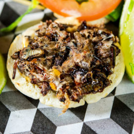 Cricket burgers a surprise hit in NYC
